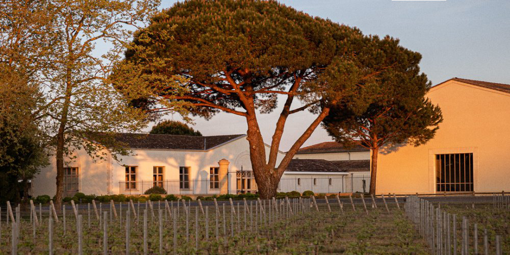 Chateau de Fieuzal, Pessac-Leognan